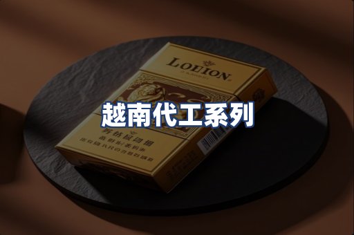 越南代工系列